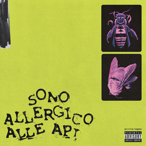 sono allergico alle api