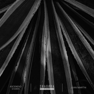 Ascendio (Nomad Saleh Remix)