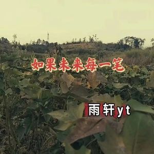 如果未来每一笔