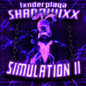 SIMULATION 2