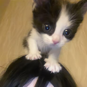 [UKG]春日-Diaryplug x UK Garage Type Beat