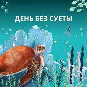 День без суеты