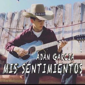 Mis Sentimientos