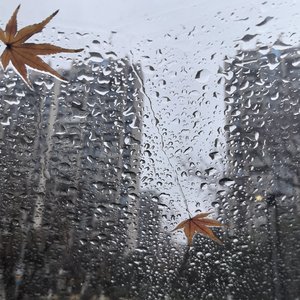 晚风曳