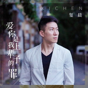 爱你是我上辈子的罪 (DJ枫叶版)