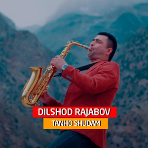Tanho shudam