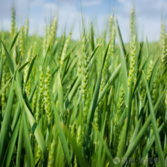 美丽神奇的地方