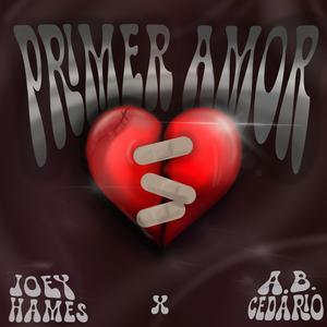 Primer Amor (feat. Joey Hames)