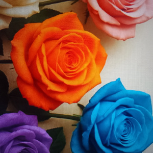 Primavera