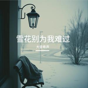 雪花别为我难过