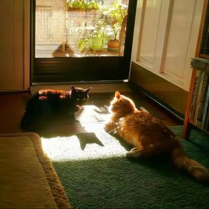 朦胧之春，雪休之秋