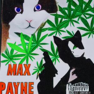 Max Payne aka Mad Max (feat. Max)