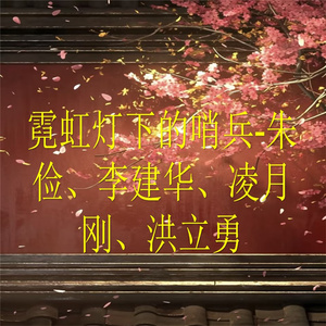 霓虹灯下的哨兵-12