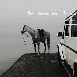 Ber donam edi (Remix)