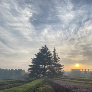 「32」（Prod by FRESH_ye）