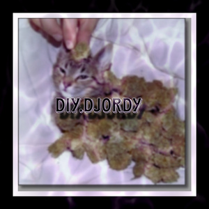 Rap droom