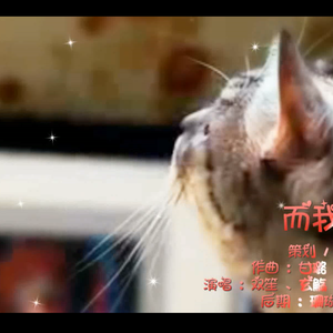 主人，而我只有你