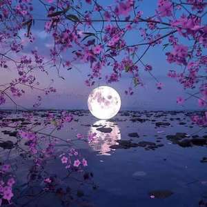 悲情的战神（prod by 澜）