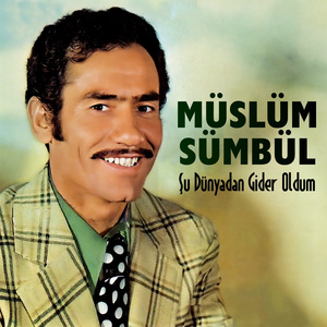 Veysel Karini