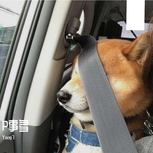 P事多（Prod.BFCat）