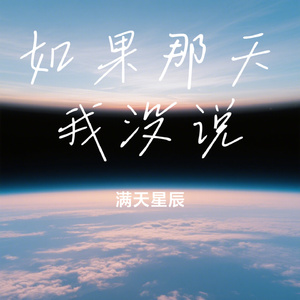 如果那天我没说