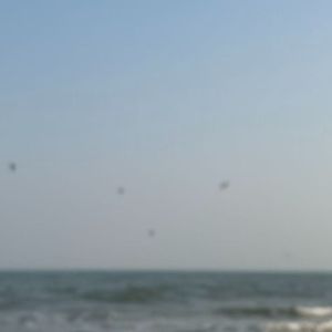 最后一次见你了