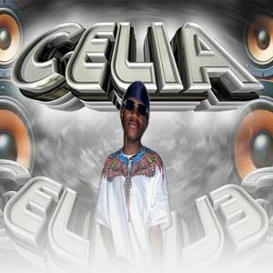 Celia (La Conocí Un Domingo) - Ritmo Exotico