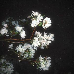 What You Know Bout Love (Instrumental)