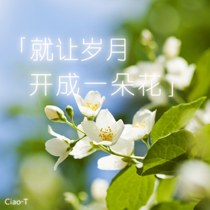 就让岁月开成一朵花（烟嗓版）