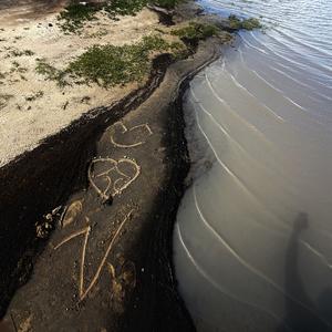 为什么花不说话