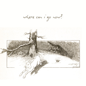 wHeRe can i go nOw?