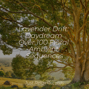 Purrfectly Blissful Snooze