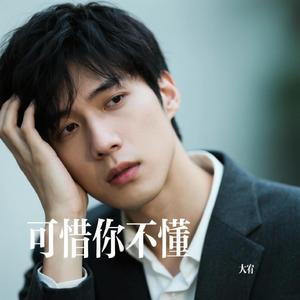 可惜你不懂