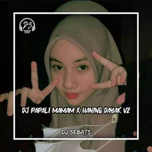 DJ PAPALI MAMAM X HANING DAYAK V2