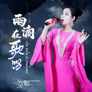 雨滴在歌唱 (DJ小鹏版)