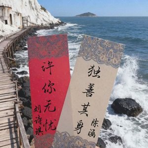 云淡风轻-刘诗琪and陈涵（无奈 / 陈小涵 remix）