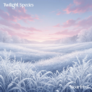 Hoarfrost (Instrumental EDM Trance Techno Version)