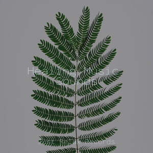 Fairy tale Twilight Waltz