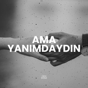 Ama Yanımdaydın