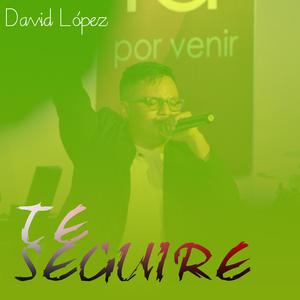 Te Seguire