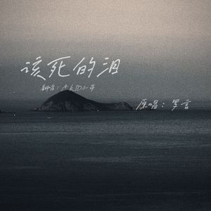 该死的泪（Cover：罗言）