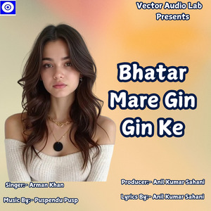 Bhatar Mare Gin Gin Ke