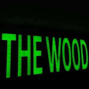 Streaming from THE WOOD Live session, Pt. 1 (Live) (Live)