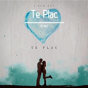 3 SUD EST - Te Plac（DJ MiY Mix）