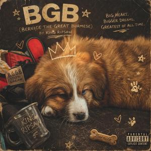 BGB (BERNICE THE GREAT BURMESE)