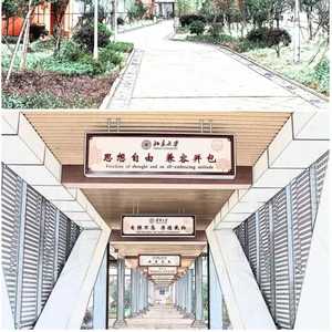 lemon（翻自 米津玄師）