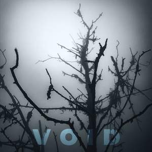 Void