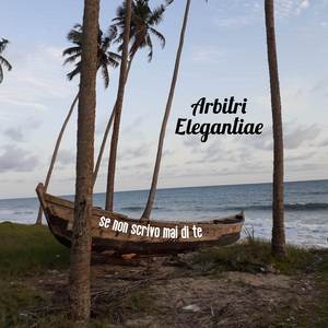 Se non scrivo mai di te