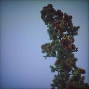 Surging (feat. AZIO)