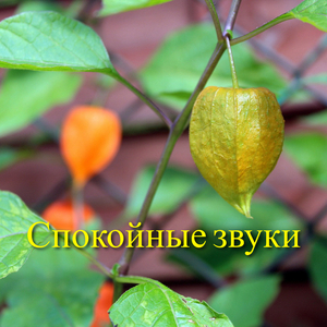 Блаженные баллады